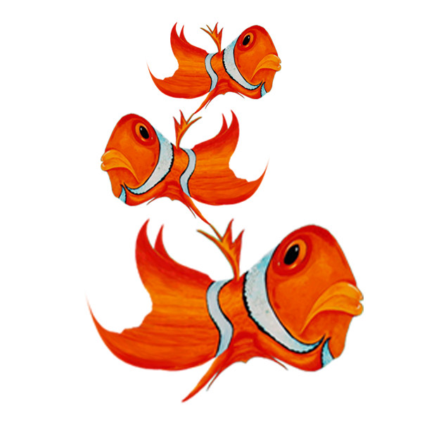 Fish squashed